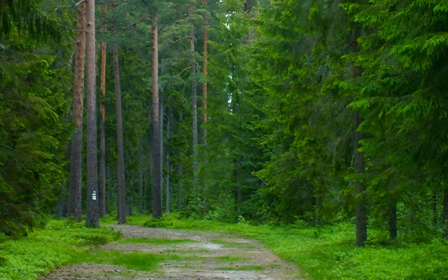 veriko-dundua-V7q-SPFek5Y-unsplash