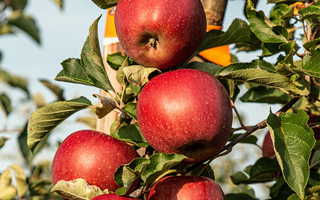 marek-studzinski-3D6yReT06p0-unsplash