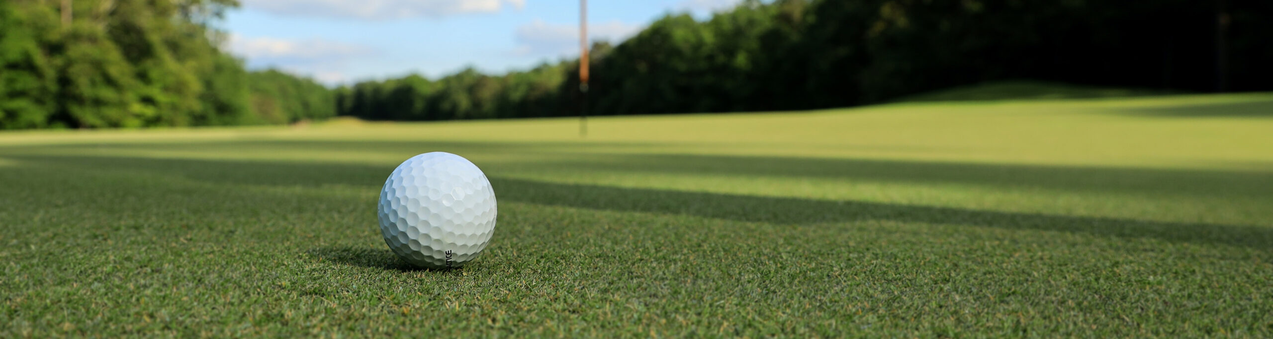 mk-s-WHf1wtNMMLU-alt